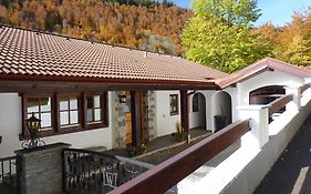 Haus zur Eule